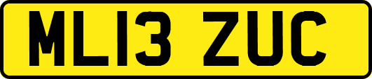 ML13ZUC