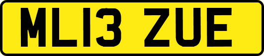 ML13ZUE