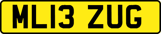 ML13ZUG