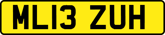 ML13ZUH