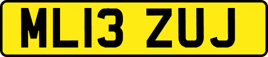 ML13ZUJ