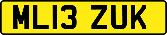 ML13ZUK