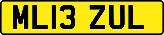 ML13ZUL