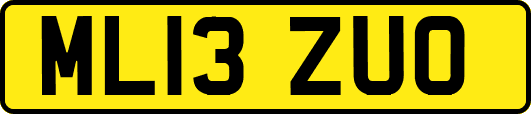 ML13ZUO