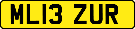 ML13ZUR