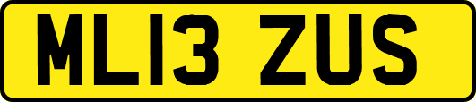 ML13ZUS