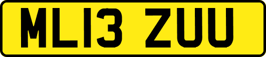 ML13ZUU