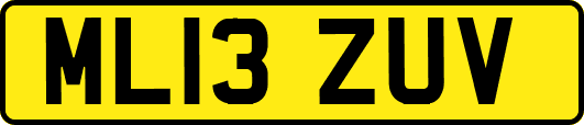 ML13ZUV