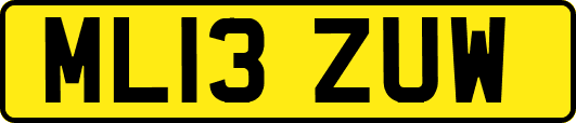 ML13ZUW