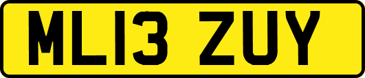 ML13ZUY