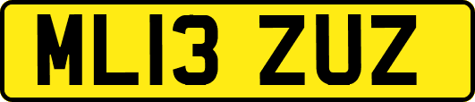 ML13ZUZ