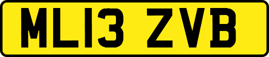 ML13ZVB