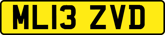 ML13ZVD