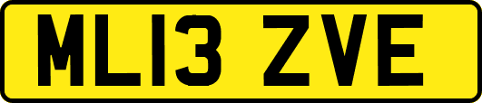ML13ZVE