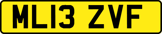 ML13ZVF