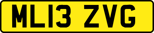 ML13ZVG
