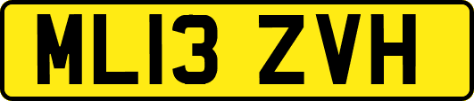 ML13ZVH