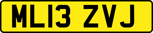 ML13ZVJ