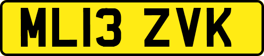 ML13ZVK