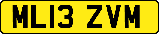 ML13ZVM
