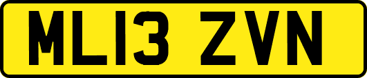 ML13ZVN
