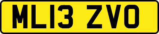 ML13ZVO