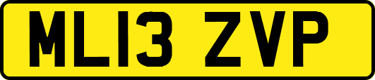 ML13ZVP