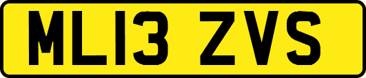 ML13ZVS
