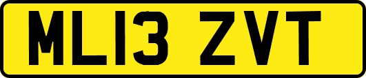 ML13ZVT