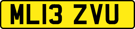 ML13ZVU