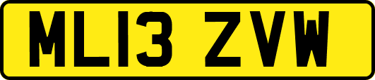 ML13ZVW