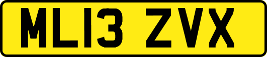 ML13ZVX