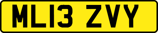 ML13ZVY