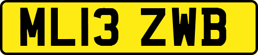 ML13ZWB