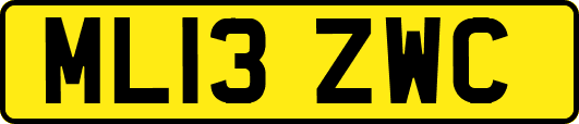 ML13ZWC
