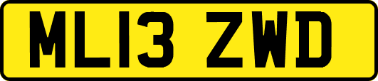 ML13ZWD