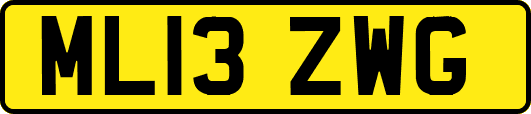 ML13ZWG