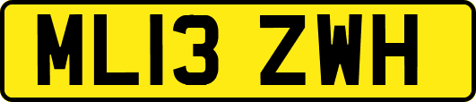 ML13ZWH