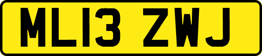 ML13ZWJ