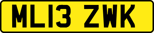 ML13ZWK