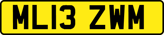 ML13ZWM
