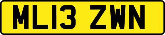 ML13ZWN
