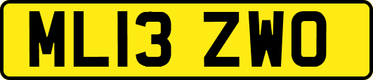 ML13ZWO