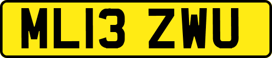 ML13ZWU