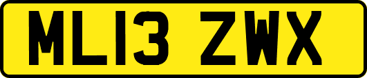 ML13ZWX