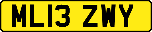 ML13ZWY