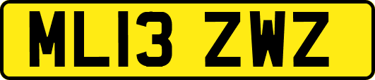 ML13ZWZ