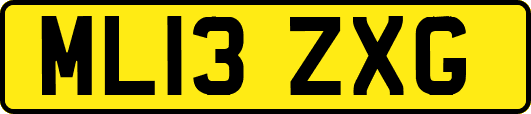 ML13ZXG