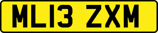 ML13ZXM