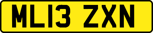 ML13ZXN